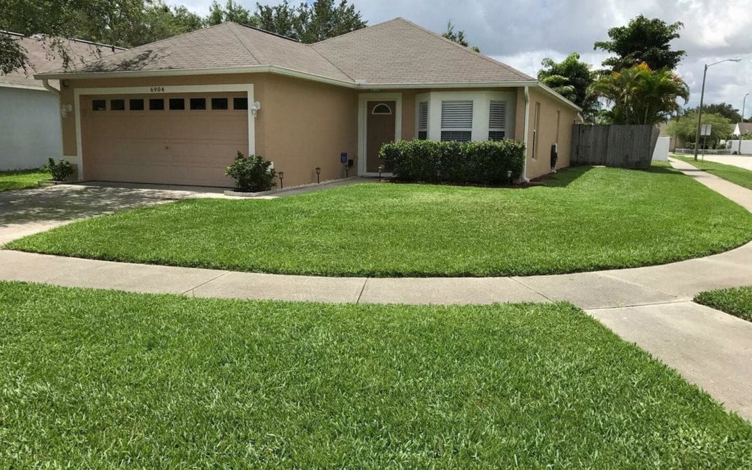 Management Practices for Florida Lawns - lawn service in North Port ...