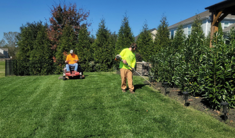 lawn mowing service Venice FL